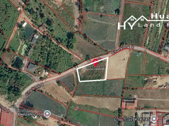 #1729       Quiet position 550m off Chak Nok Road near end of Soi Chaiyapruek2