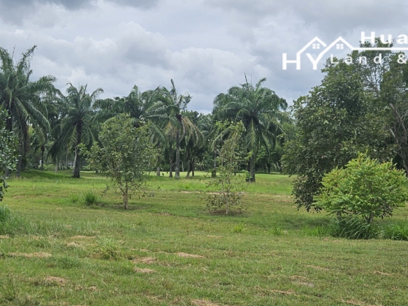 #B26  Larger than average building plot within the golf course on a favoured corner position