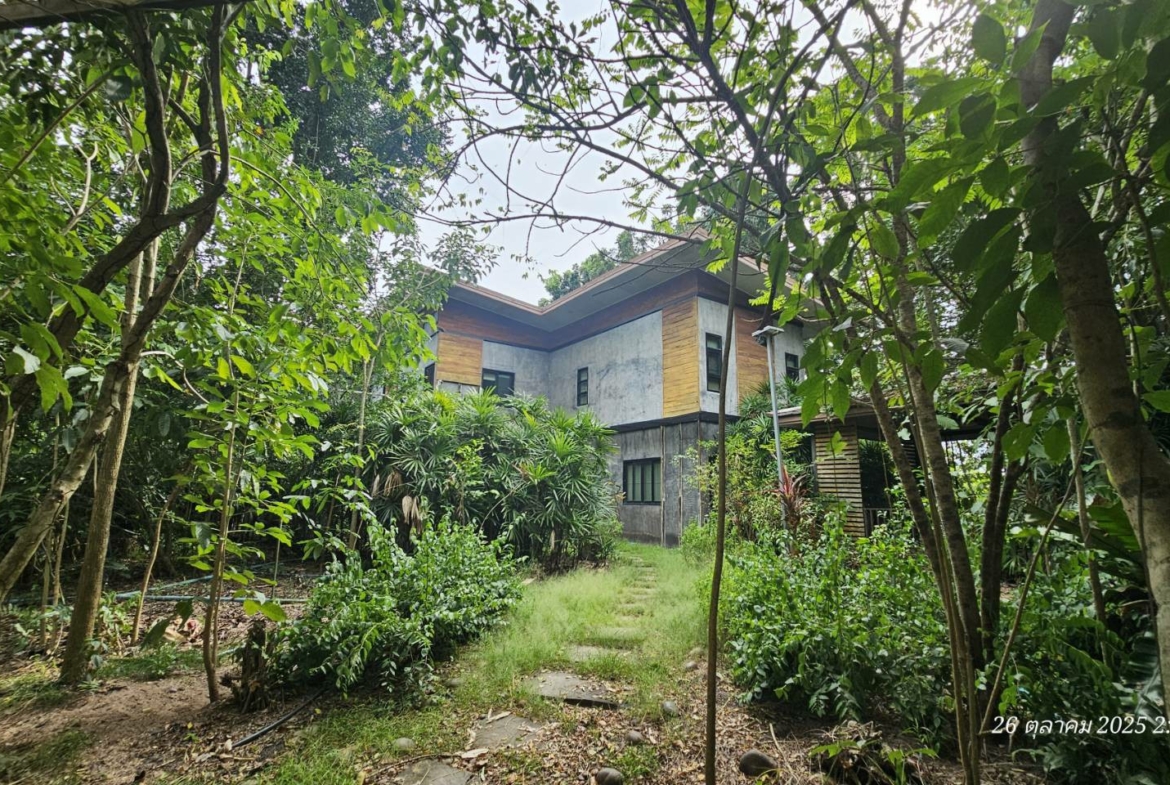 #1763  44rai Fruit Farm For Sale Chon Buri with large modern style house.   SUPERB VALUE FOR MONEY.