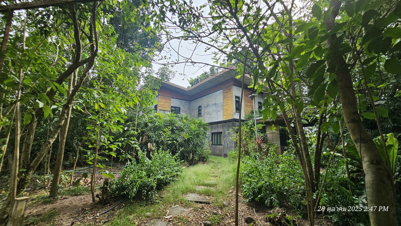 #1763  44rai Fruit Farm For Sale Chon Buri with large modern style house.   SUPERB VALUE FOR MONEY.