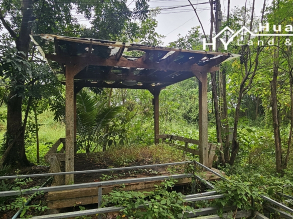 #1763  44rai Fruit Farm For Sale Chon Buri with large modern style house.   SUPERB VALUE FOR MONEY.