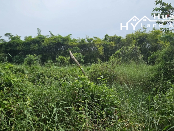 #1763  44rai Fruit Farm For Sale Chon Buri with large modern style house.   SUPERB VALUE FOR MONEY.