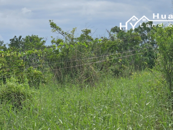 #1763  44rai Fruit Farm For Sale Chon Buri with large modern style house.   SUPERB VALUE FOR MONEY.