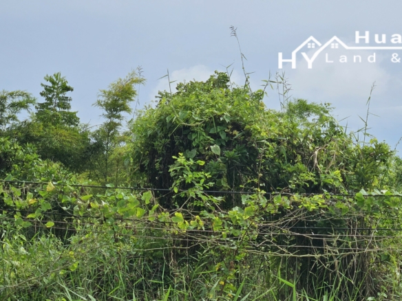 #1763  44rai Fruit Farm For Sale Chon Buri with large modern style house.   SUPERB VALUE FOR MONEY.
