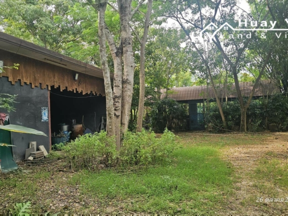 #1763  44rai Fruit Farm For Sale Chon Buri with large modern style house.   SUPERB VALUE FOR MONEY.