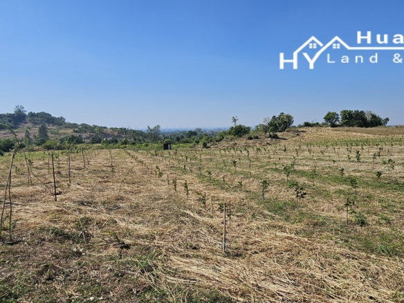 #1771       Hilltop Land For Sale in the hills behind Huay Yai, near Pattaya. Stunning views.
