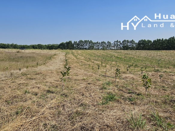 #1771       Hilltop Land For Sale in the hills behind Huay Yai, near Pattaya. Stunning views.