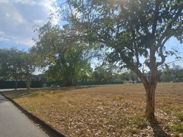 #M9 GOOD VALUE LARGER THAN AVERAGE PLOT WITHIN THE GOLF COURSE