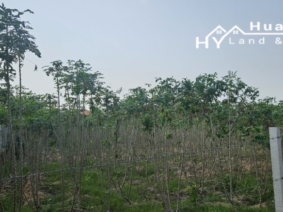 #1793 High Density Villa site. Almost 2rai