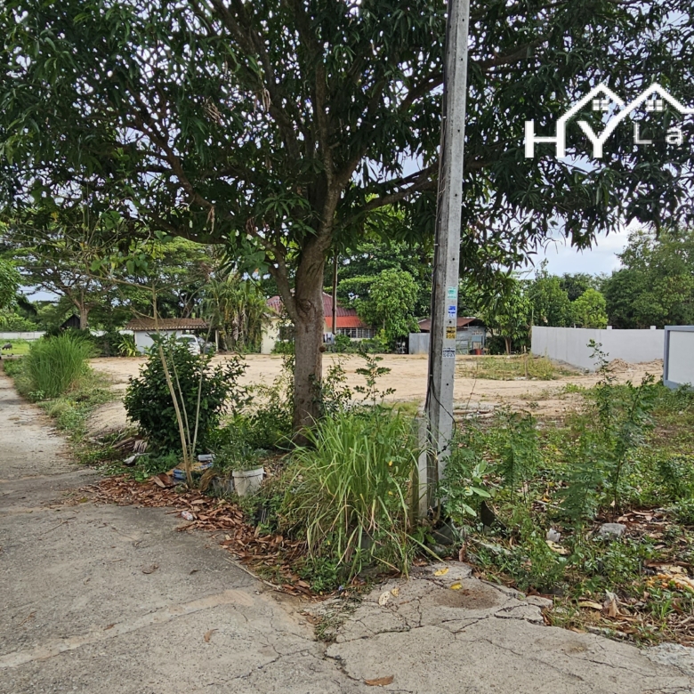 #1804  Land For Sale. Half Rai plot just off Soi Chaiyapruek2