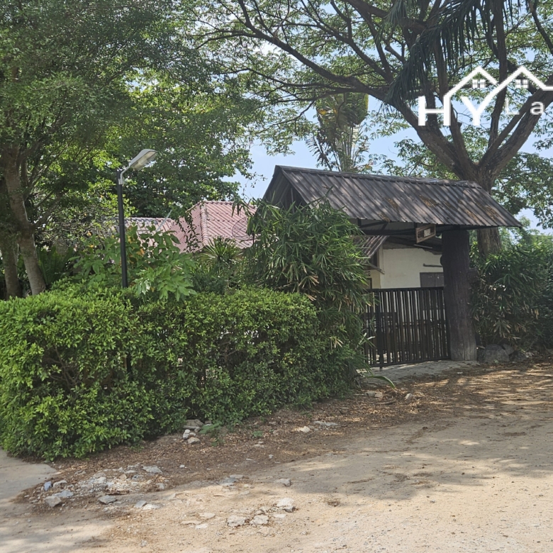 #1804  Land For Sale. Half Rai plot just off Soi Chaiyapruek2