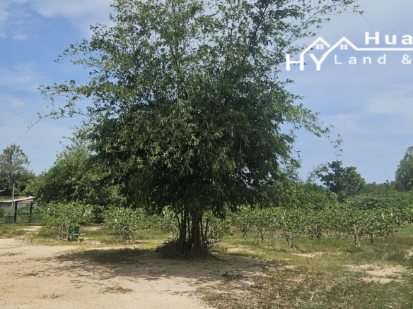 #1823 Land for fishing park. Huay Yai.  Less than 2mb / rai EXCEPTIONAL PRICE