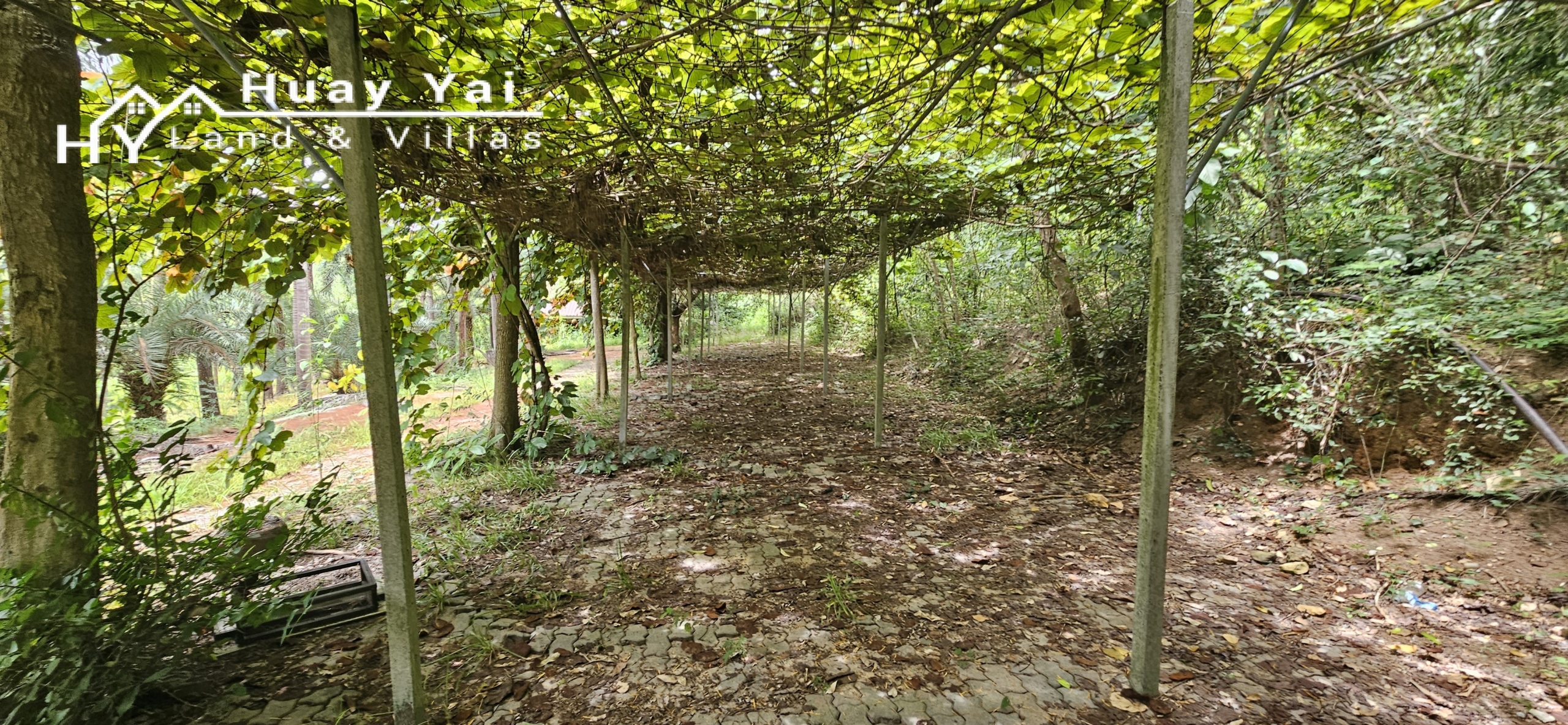 #3561 Eco Resort / Rural Development Land | 27.54 rai of rolling jungle in Sri Racha District.  Nightly Light Show!