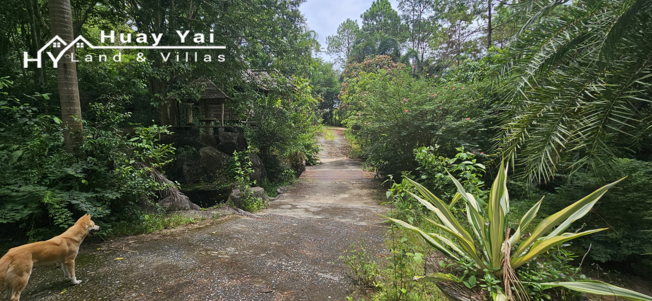 #3561 Eco Resort / Rural Development Land | 27.54 rai of rolling jungle in Sri Racha District.  Nightly Light Show!