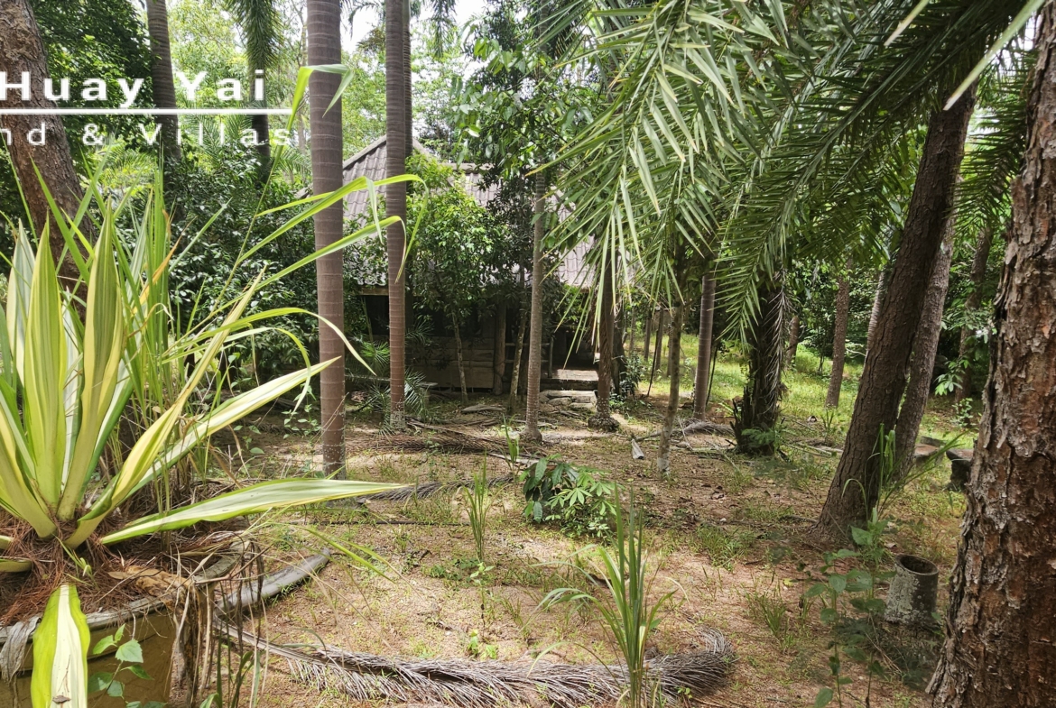 #3561 Eco Resort / Rural Development Land | 27.54 rai of rolling jungle in Sri Racha District.  Nightly Light Show!
