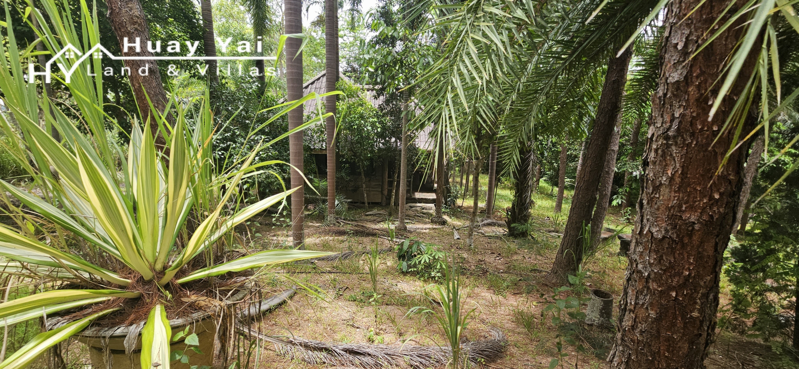 #3561 Eco Resort / Rural Development Land | 27.54 rai of rolling jungle in Sri Racha District.  Nightly Light Show!