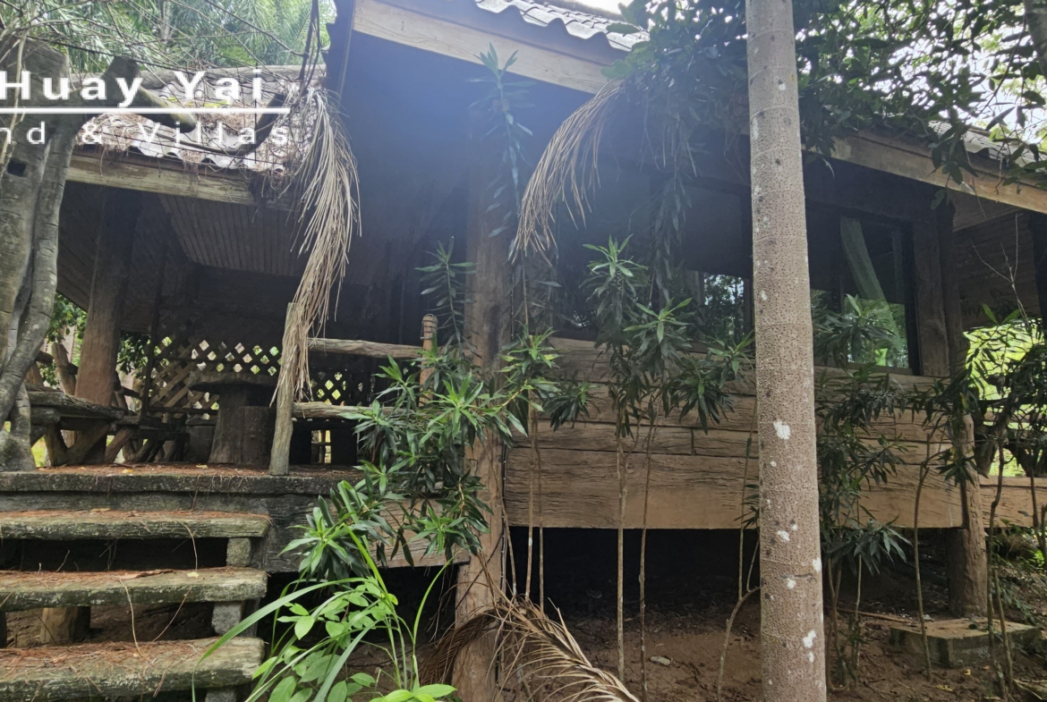 #3561 Eco Resort / Rural Development Land | 27.54 rai of rolling jungle in Sri Racha District.  Nightly Light Show!