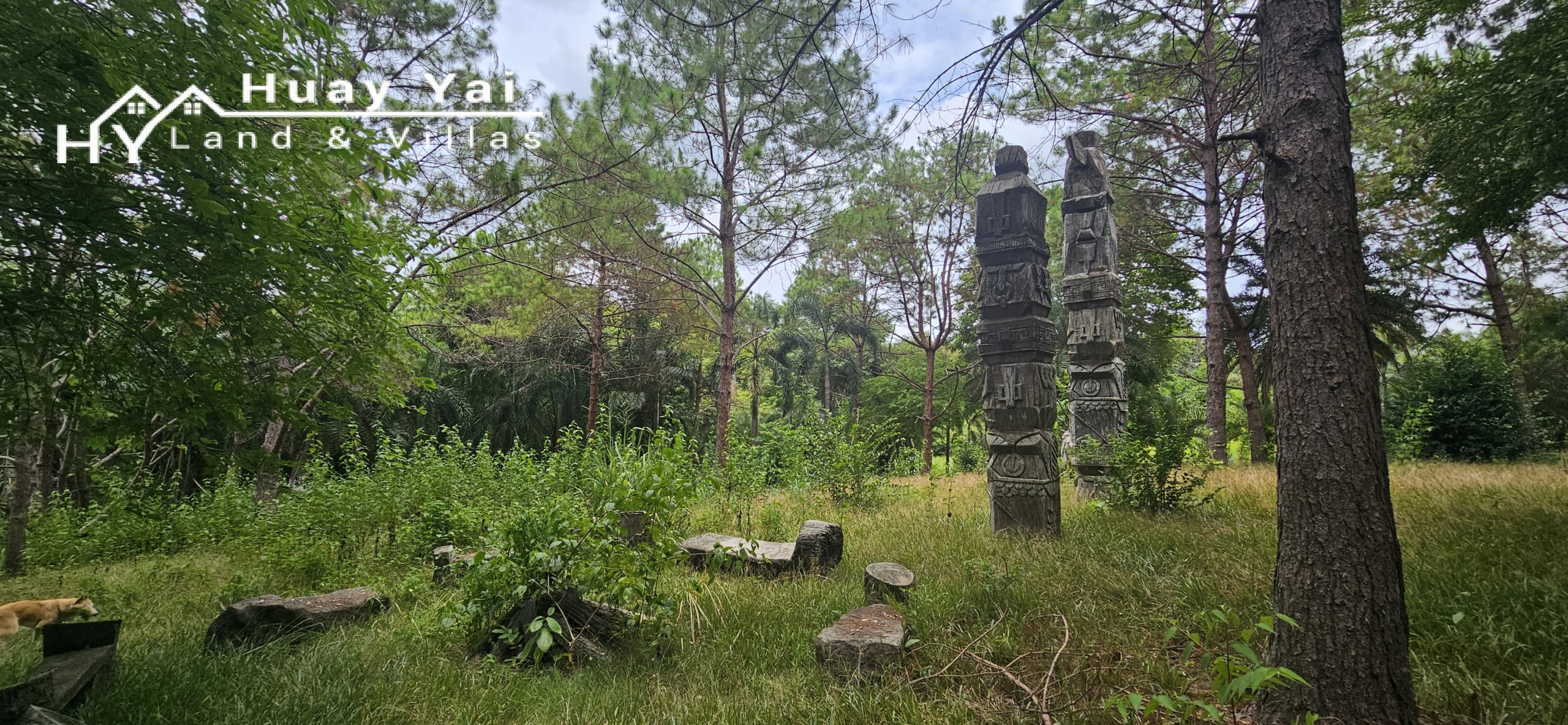 #3561 Eco Resort / Rural Development Land | 27.54 rai of rolling jungle in Sri Racha District.  Nightly Light Show!