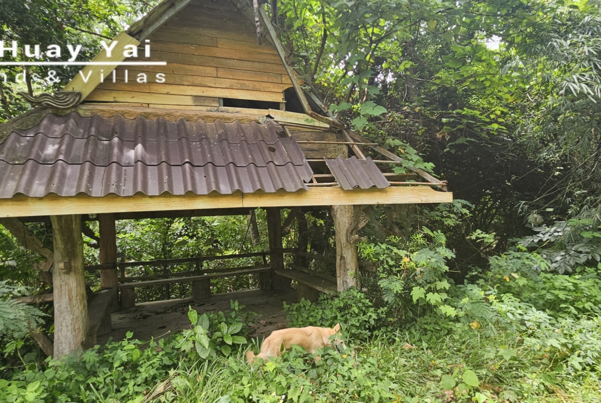#3561 Eco Resort / Rural Development Land | 27.54 rai of rolling jungle in Sri Racha District.  Nightly Light Show!