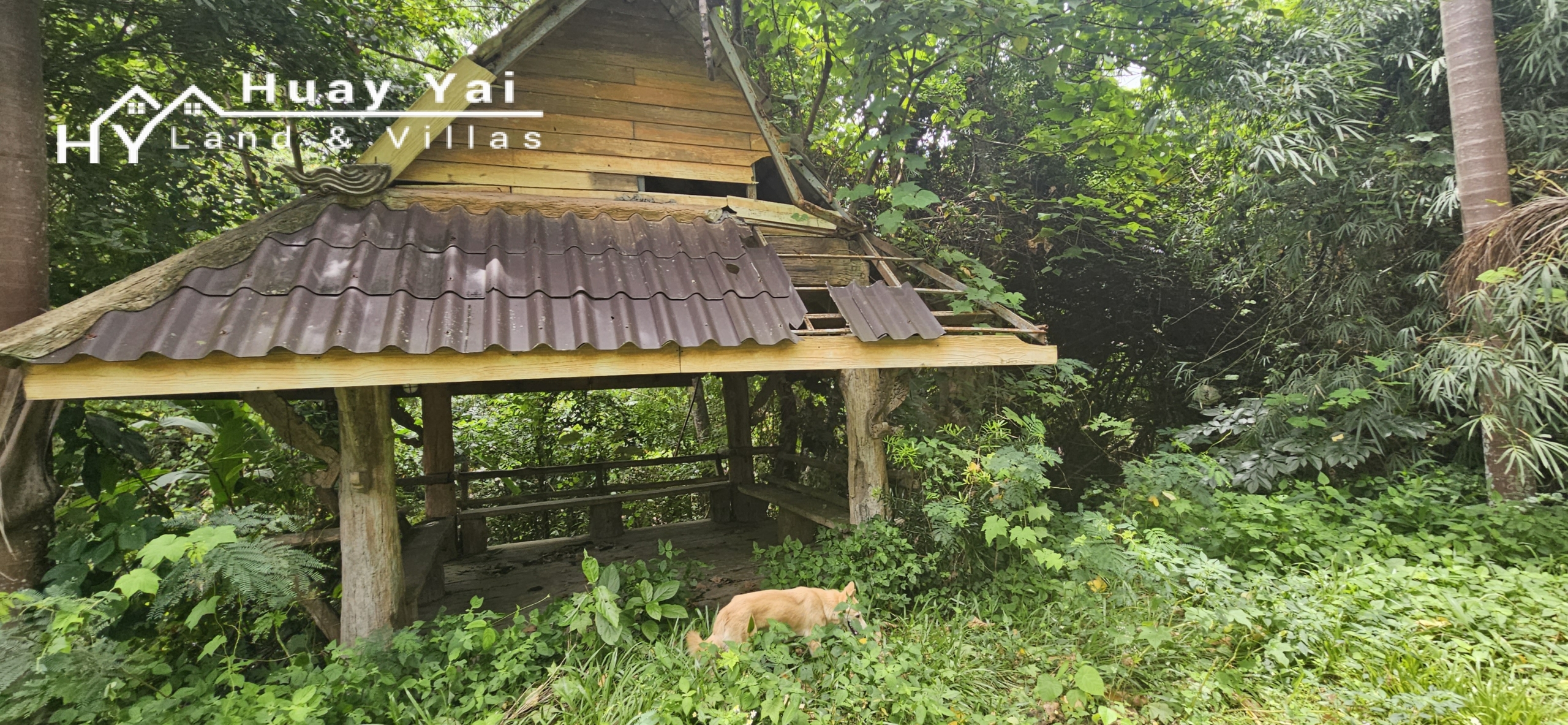 #3561 Eco Resort / Rural Development Land | 27.54 rai of rolling jungle in Sri Racha District.  Nightly Light Show!