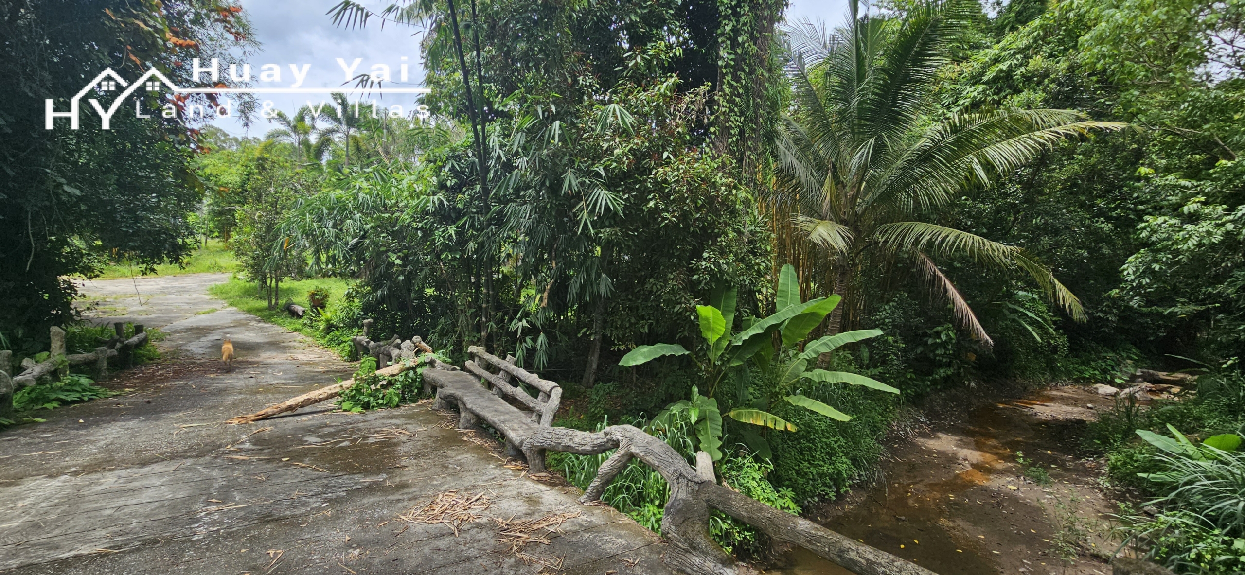 #3561 Eco Resort / Rural Development Land | 27.54 rai of rolling jungle in Sri Racha District.  Nightly Light Show!