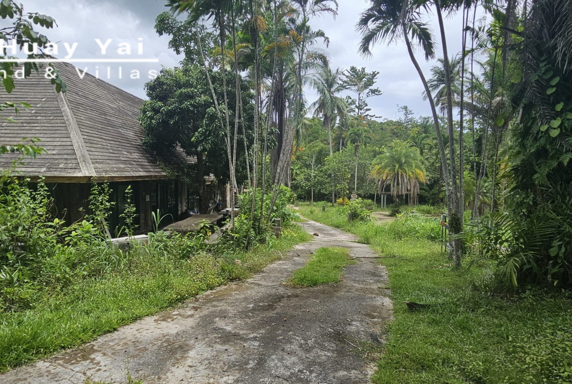 #3561 Eco Resort / Rural Development Land | 27.54 rai of rolling jungle in Sri Racha District.  Nightly Light Show!