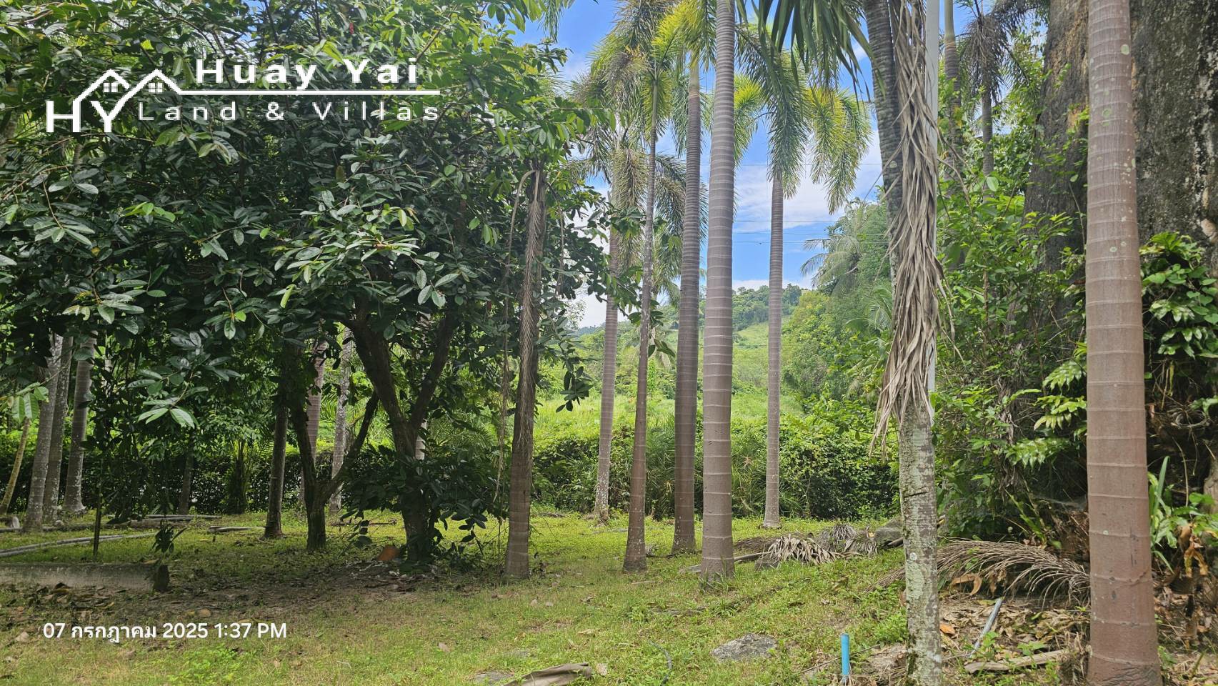 370937_0 #3561 Eco Resort & Development Land | 27.54 Rai of Tropical Paradise. Sri Racha District